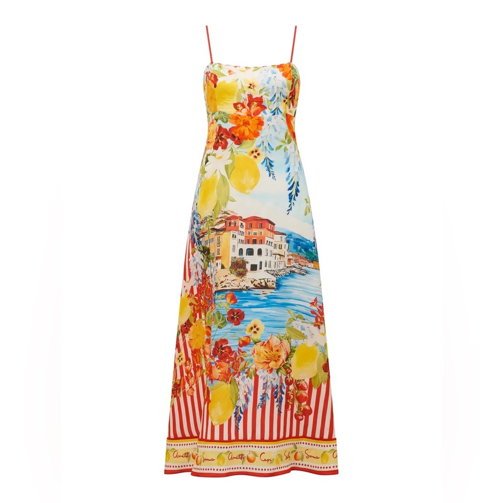 Ever New Sicilia Printed Midi Dress NWOT